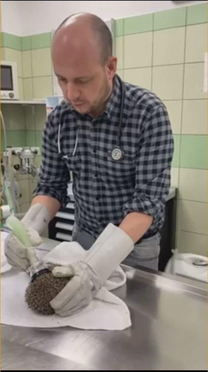 Wściekł się, bo wybudzili go ze snu