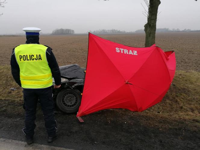 Nie żyją DWIE kobiety. Ich auto zostało ZMIAŻDŻONE! Fatalny wypadek na DK15