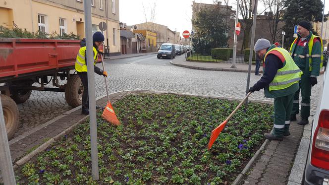 Za nieco ponad miesiąc wiosna! Na skwerach w Lesznie zaczęły się już pozimowe porządki