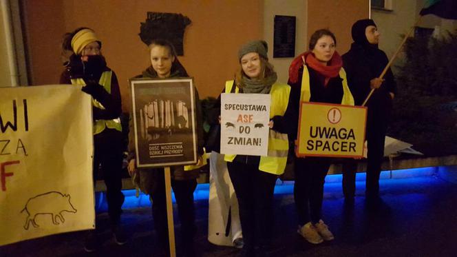 Ekolodzy boją się o dziki. Wyszli na ulice Bydgoszczy, by zaprotestować