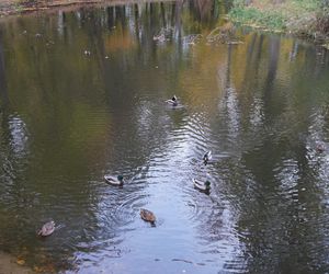 Park Lubomirskich w Białymstoku jesienią 