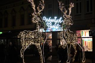 Tu jest jak w bajce! Tak iluminacje świąteczne rozświetlają Bydgoszcz [ZDJĘCIA]