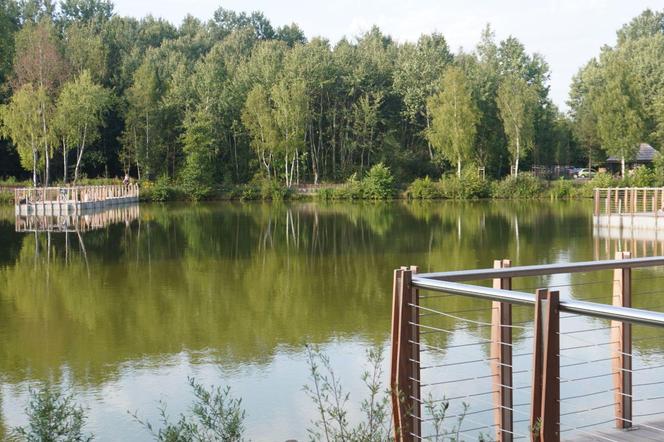 Park Leśny Tetmajera w Bronowicach