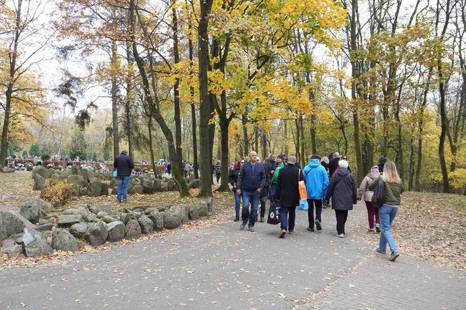 Tłumy na cmentarzu na Miłostowie