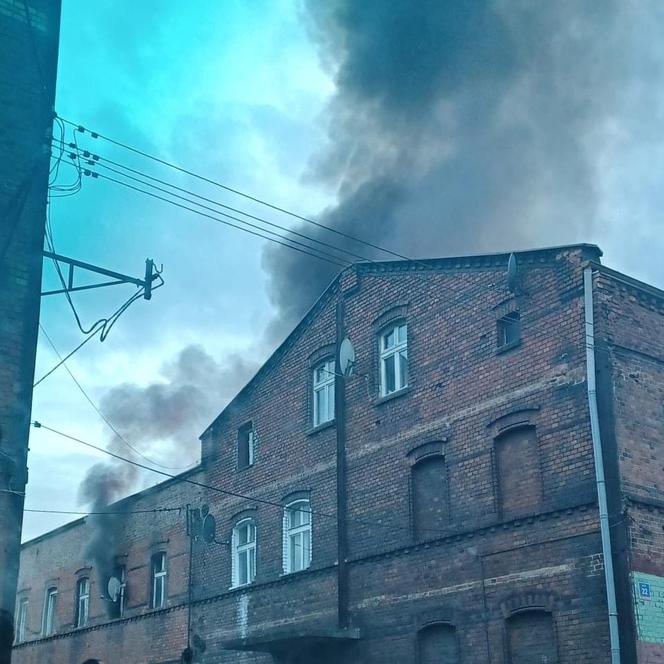 Pożar przy ul. Oswobodzenia w Katowicach. W akcji gaśniczej wzięło udział kilka zastępów straży