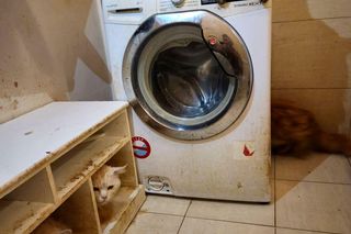 3 lata więzienia grożą mężczyźnie, który usłyszał zarzut znęcania się nad zwierzętami