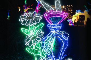 Śląsk zamienia się w Krainę Czarów. Ta magiczna wystawa świateł to absolutny hit jesieni i zimy