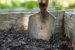 W Kielcach będą kopali groby na czas! Wystartują najlepsi grabarze