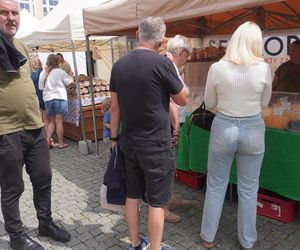 Dni Olsztyna 2025. Dziesiątki wystawców i setki olsztynian na Jarmarku Jakubowym