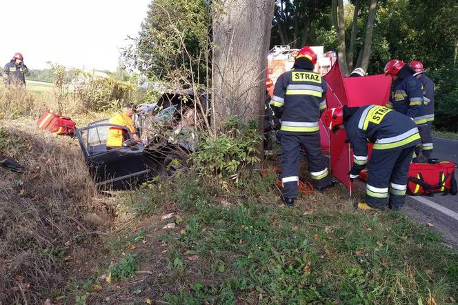 Tragiczny wypadek pod Bydgoszczą. Kierowca zginął na miejscu! [ZDJĘCIA]