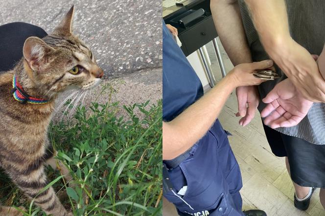 Wyrzucił do rowu kota w worku! 62-latek bez serca