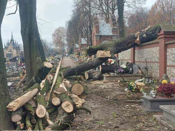 Zniszczone nagrobki na cmentarzu przy Bazylice Piekarskiej. Co tam się stało? 