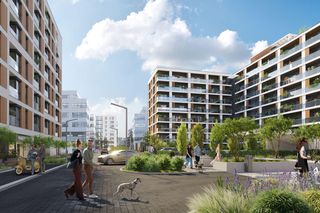 Wizualizacje projektu Esy Floresy