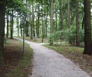 Zabytkowy park pod Lubawą zmienił się nie do poznania. Teraz wygląda jak z bajki