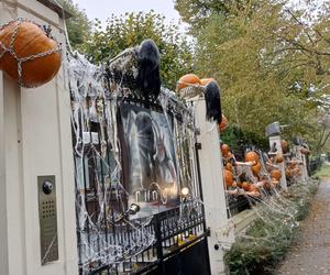 Willa na Jaśkowej Dolinie znów ozdobiona. Tym razem przechodniów zaskakują halloweenowe straszydła!