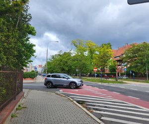 Aleja Dębowa w Bydgoszczy, czyli żywa historia wśród zieleni