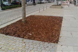 Przebudowa alei Wojska Polskiego na ostatniej prostej