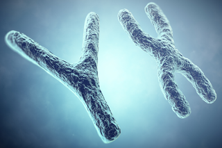 Zespół kruchego chromosomu X  - przyczyny, objawy, leczenie