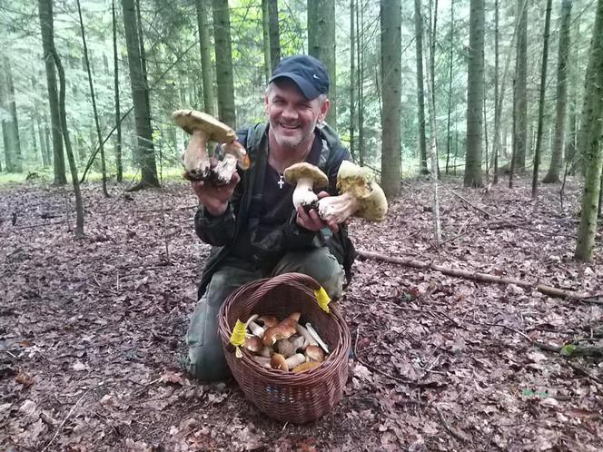 Król starachowickich lasów Samotny Wilk