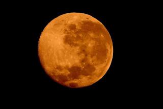Super Krwawy Księżyc Wilka - niesamowite zaćmienie księżyca w styczniu 2019!