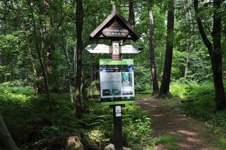 Góra Chełmowa w gminie Nowa Słupia