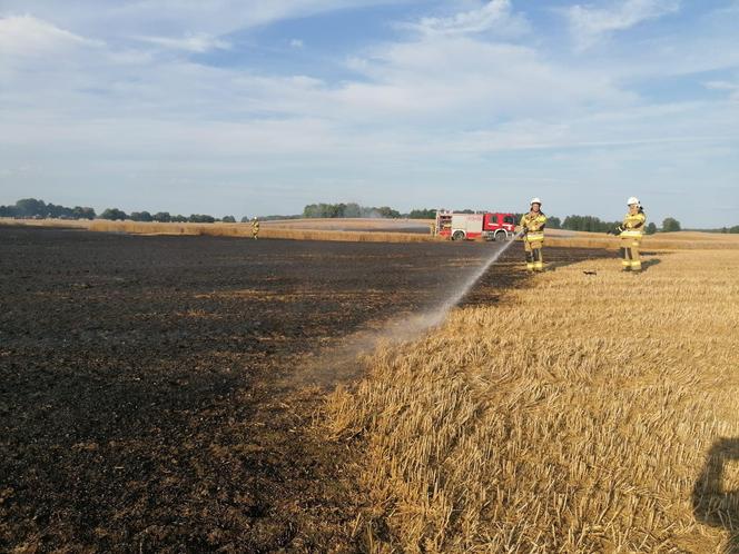 Dwa pożary zboża oraz rżyska w powiecie braniewskim