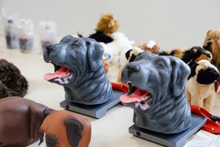 Na Uniwersytecie Przyrodniczym w Lublinie powstała Pracownia Umiejętności Klinicznych