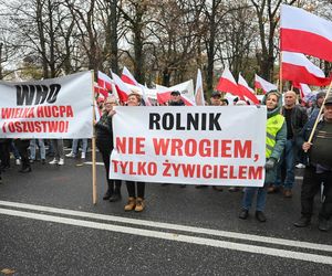 Protest plantatorów tytoniu w Warszawie (3.11.2025)