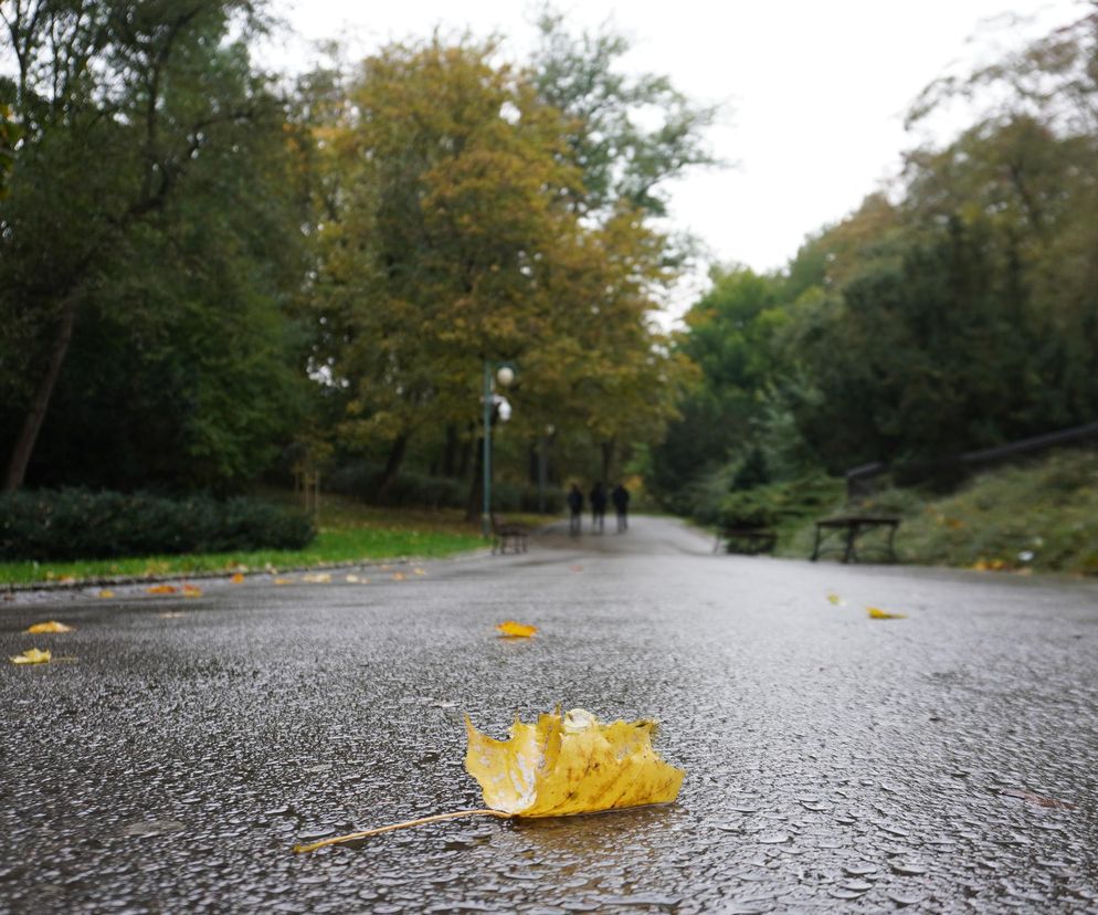 Ogród Saski w Lublinie w jesiennej odsłonie