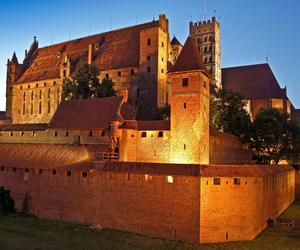 Widok na Zamek Krzyżacki w Malborku 