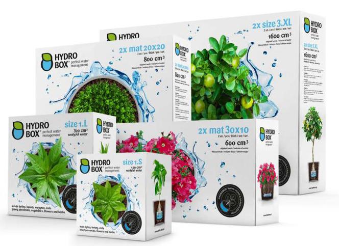 Sposób na piękne rośliny: nadawniający system Hydrobox
