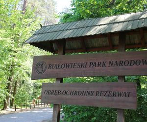 Białowieski Park Narodowy