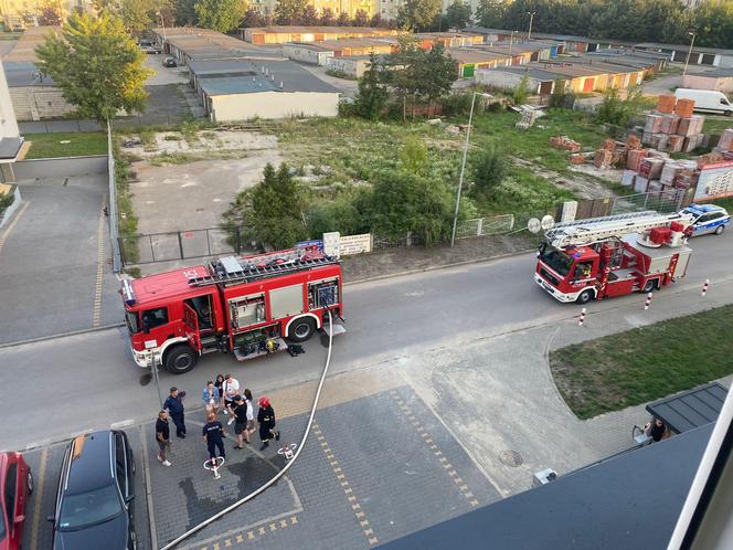 Lubelskie: Pożar kuchni w bloku. Strażacy wynieśli kota z zadymionego mieszkania