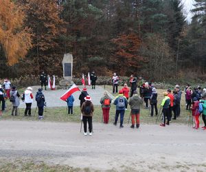 Poszli dla Niepodległej. W Krasnobrodzie odbył się IV. Rajd Nordic Walking