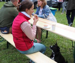 IX Piknik Przyjaciół Schroniska w Toruniu