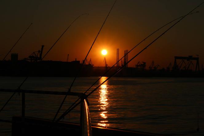 Port w Gdyni w zachodzącym słońcu