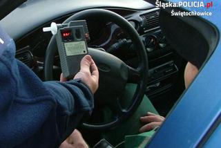 Pijany jak bela zatrzymał samochód na rondzie i poszedł spać. Stał na środku jezdni