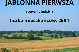Ranking największych wsi w woj. lubelskim. W tych 10 miejscowościach mieszka najwięcej osób!