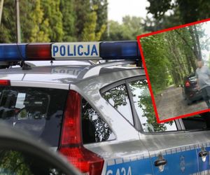 Porzucił koty w Zawierciu. Szukają ich teraz wolontariusze