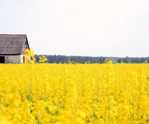 10 najbiedniejszych gmin w województwie pomorskim. To tutaj nie żyje się najlepiej!