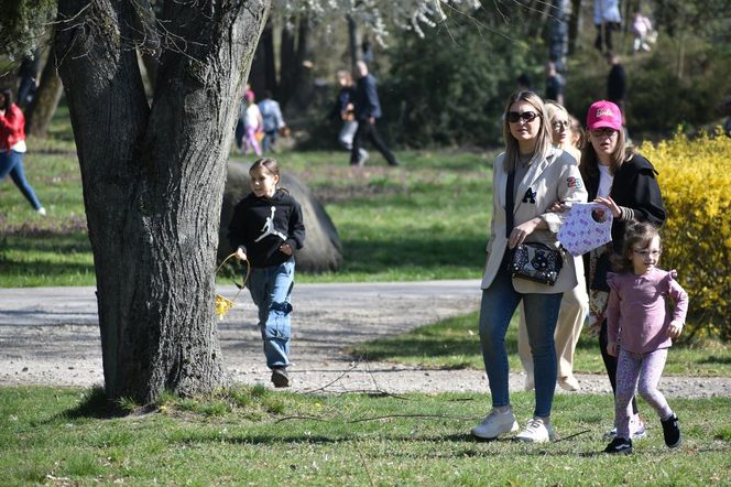 Miasto Piła