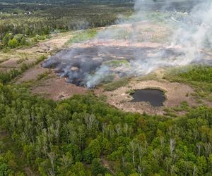 Wołomin: Płonie Natura 2000. Dym widać z wielu kilometrów