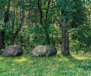 Białystok buduje Park Bioróżnorodności