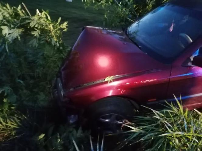 Pies wyskoczył wprost pod koła BMW. Matka z dziećmi zjechała do rowu [ZDJĘCIA]