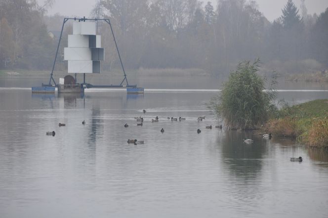 Dolina Silnicy i Zalew Kielecki jesienią