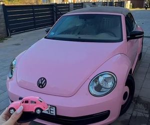 Karolina Brzuszczyńska, Way of Blonde