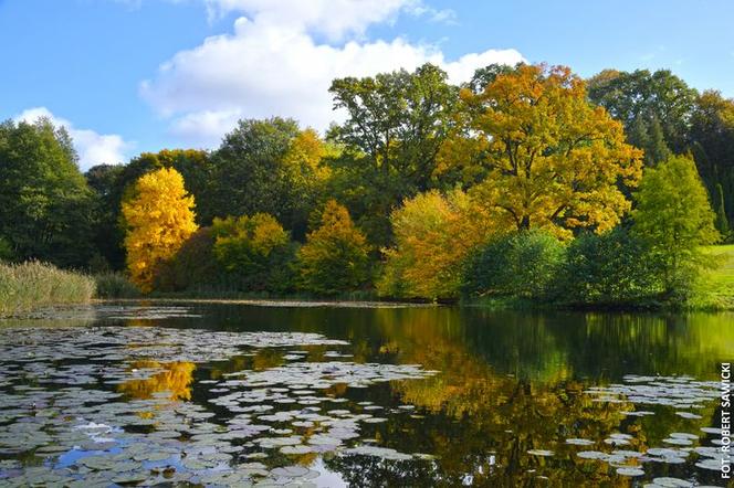 Zobacz jak wygląda największy park miejski w Polsce