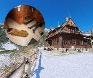 Awantura w schronisku nad Morskim Okiem. Konieczna była interwencja policji