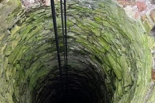 Strażacy uratowali kozę