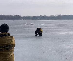 Lubelscy strażacy na ćwiczeniach. Na Zalewie Zemborzyckim doskonalili się w zakresie ratownictwa lodowego